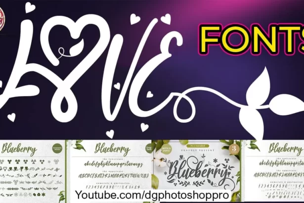 Blueberry Love Fonts Free Download