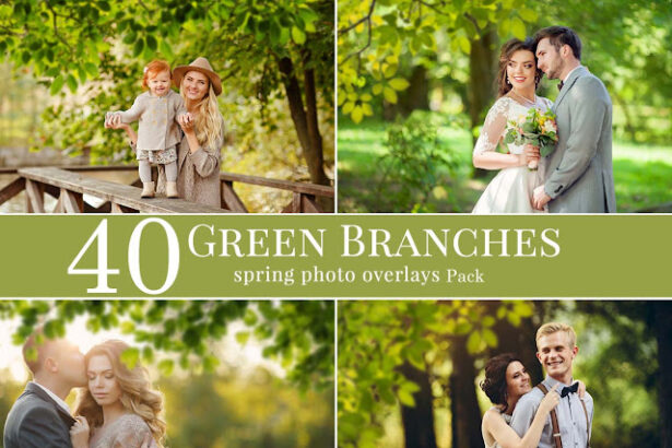 Green Branches Spring Photo Overlays