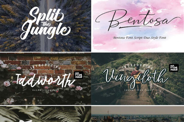 170+ Photography Signature Fonts (3)