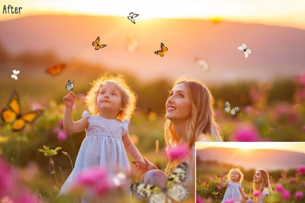 86 Butterflies Photo Overlays