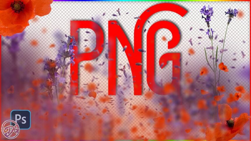 Love Overlays in PNG For Photography