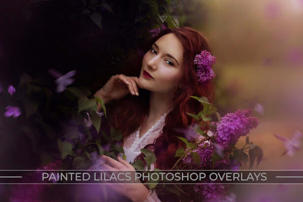 Painted Lilacs Photo Overlays With High Resolution