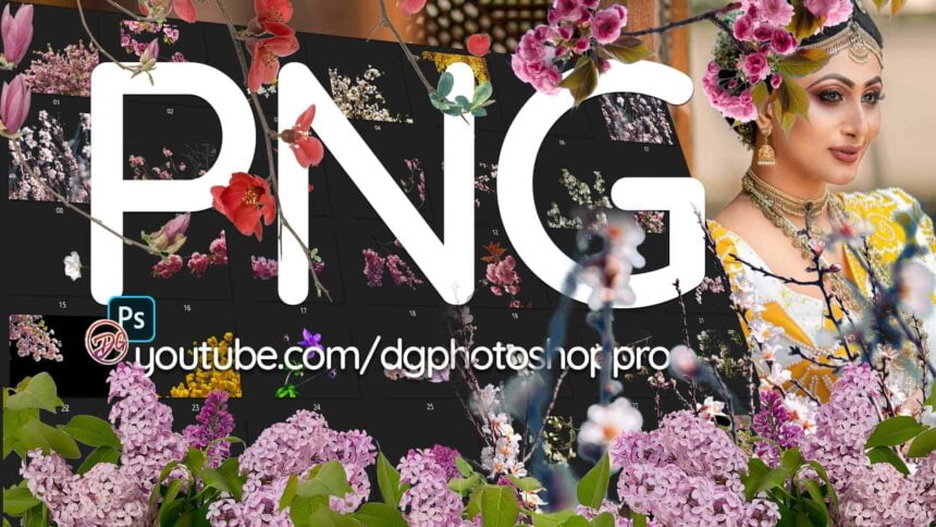 35 Blooming Branch Overlays Png