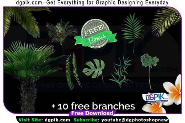 51 Tropic Tree Branch Photo overlays Free