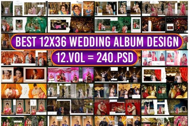 Best Vidhi 12X36 Wedding Album Design 12VOL 240PSD Pack