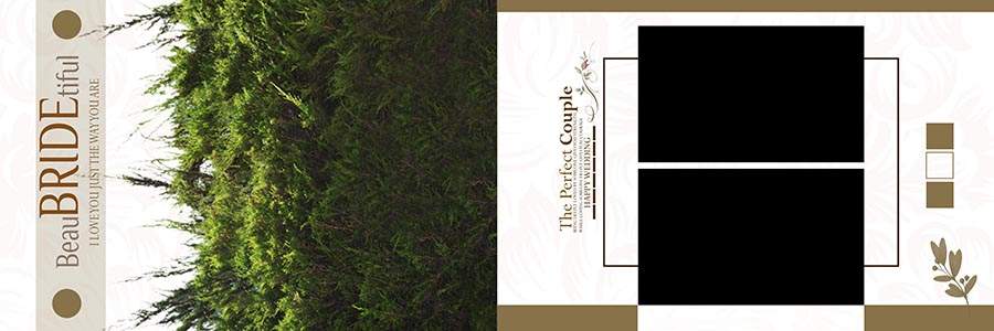 Free-Creative-12x36-Wedding-Album-Layouts-PSD